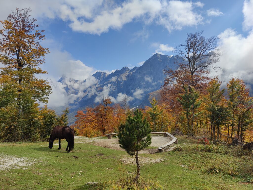 Valbona National Park Valley 3