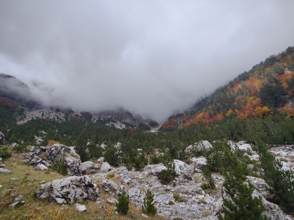 Valbona National Park Valley 4